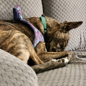 Meet your Posher, Jamie